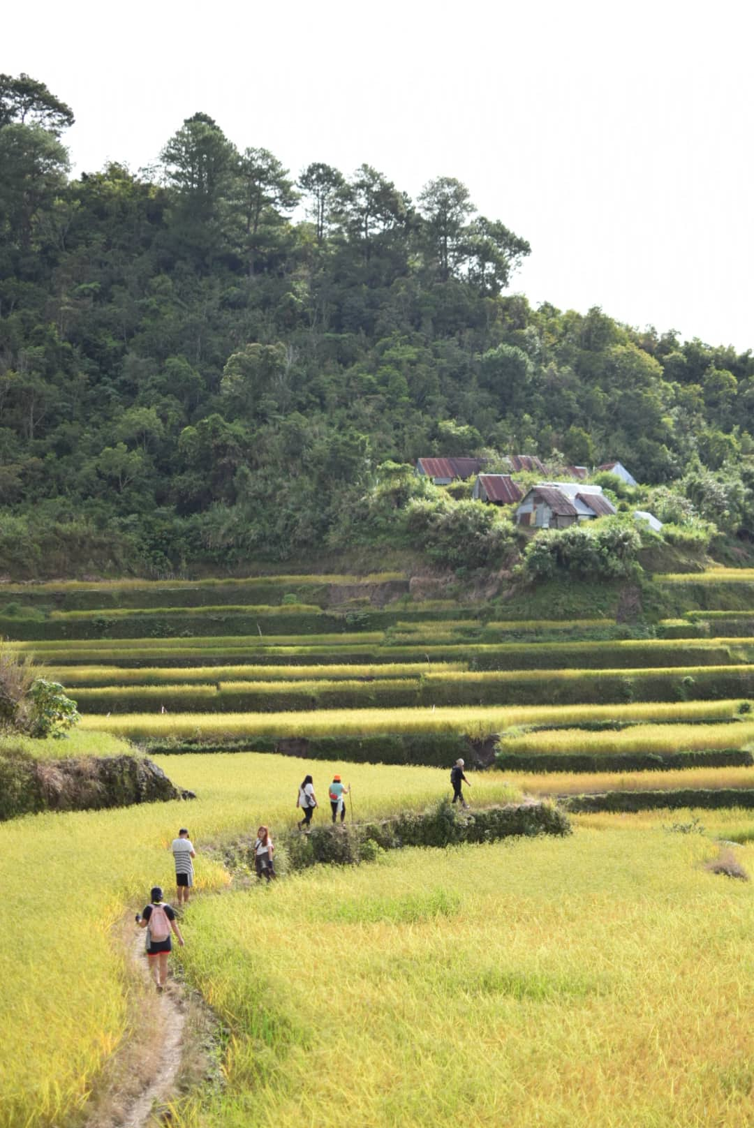 maligcong traverse to favarey.jpg