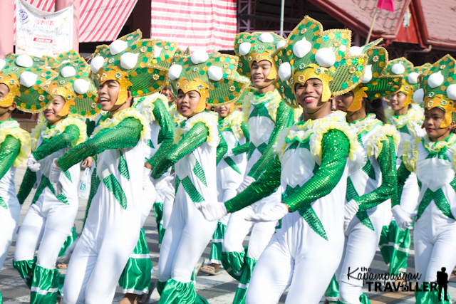 Panagkakadua-an Festival San Felipe Zambales (11).jpg