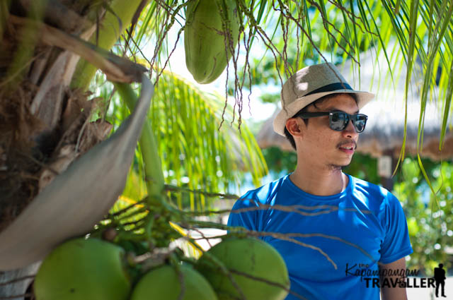 Honda Bay Luli Island Cowrie Island Pambato Reef Puerto Princesa City Travel Guide (11).jpg