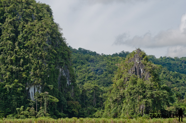 Karst Elephant Mountain Puerto Princesa Travel Guide (1).jpg