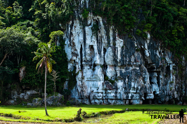 Karst Elephant Mountain Puerto Princesa Travel Guide (2).jpg