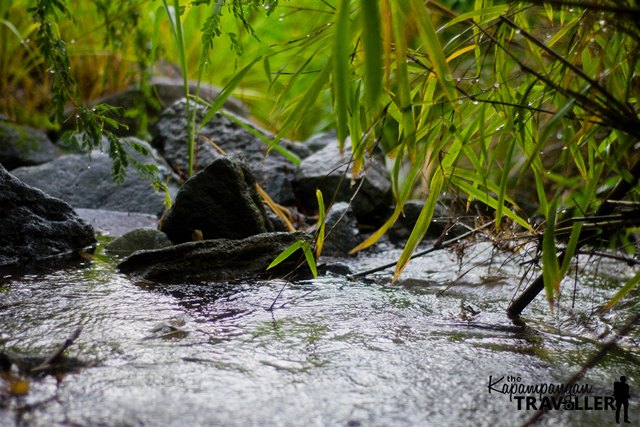 Mt. Bira Bira Cawag Zambales Traverse Nagsasa Cove Day Hike Itinerary Travel Guide (31).jpg