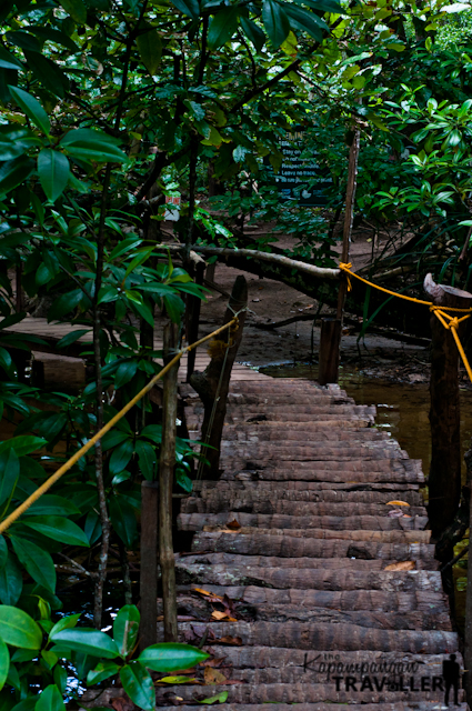 Puerto Princesa City Mangrove Paddle Boat Travel (13).jpg