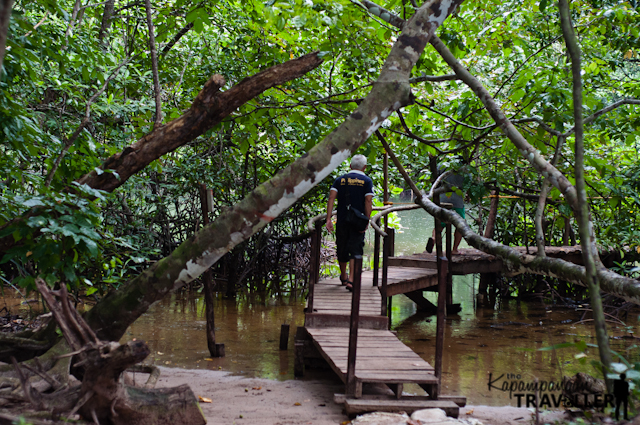 Puerto Princesa City Mangrove Paddle Boat Travel (14).jpg