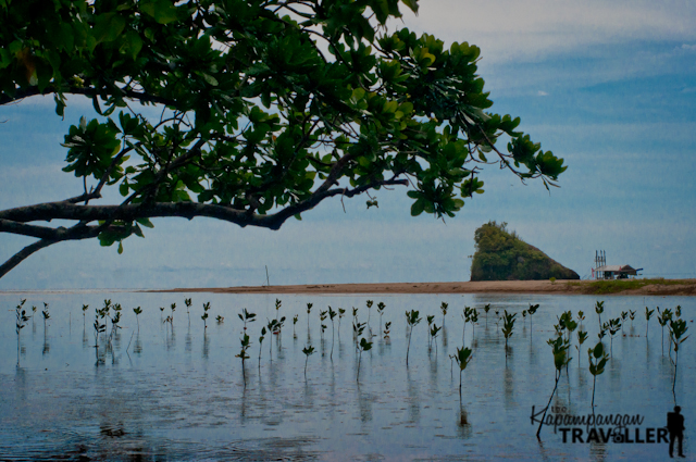 Puerto Princesa City Mangrove Paddle Boat Travel (16).jpg