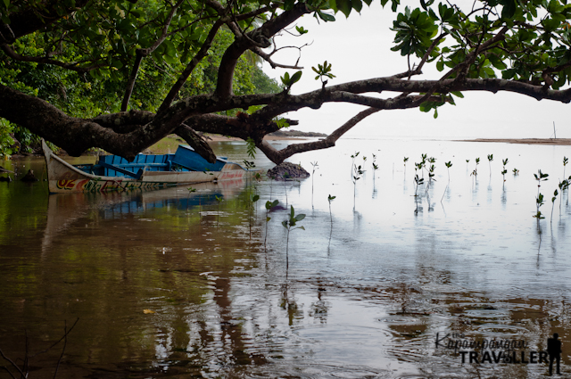 Puerto Princesa City Mangrove Paddle Boat Travel (17).jpg