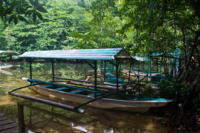 Puerto Princesa City Mangrove Paddle Boat Travel (19).jpg