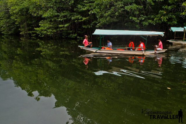 Puerto Princesa City Mangrove Paddle Boat Travel (6).jpg