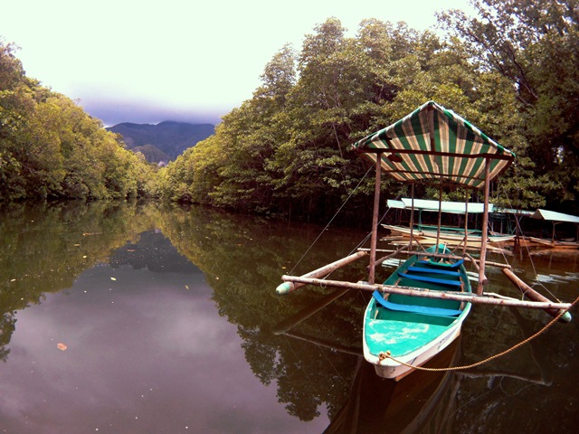 Puerto Princesa Mangrove Paddle Boat Tour travel guide how to go there.jpg