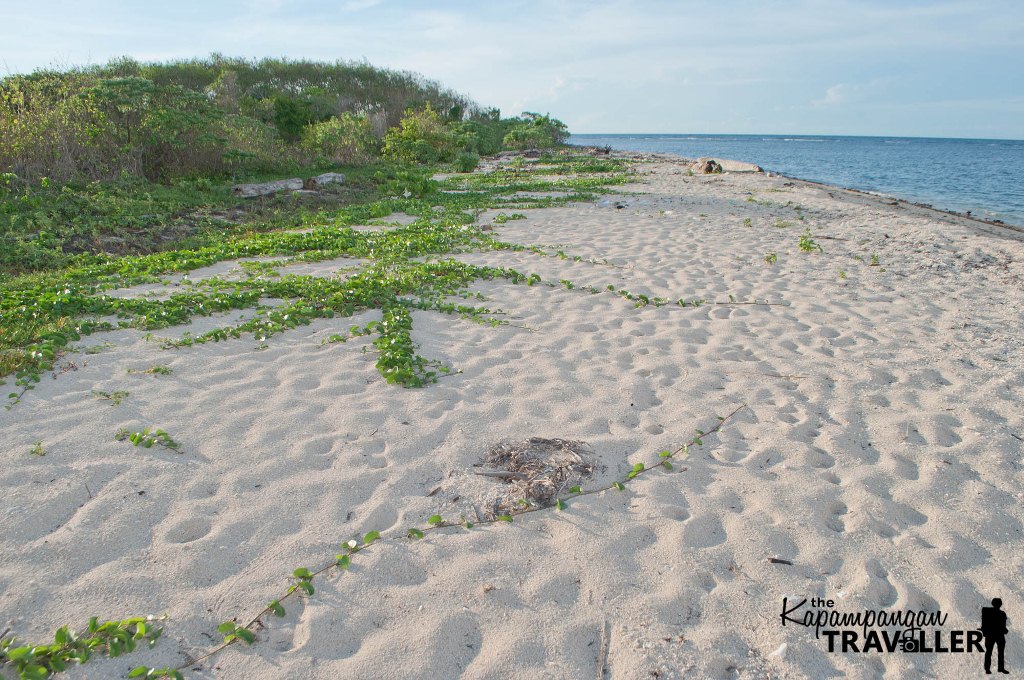 labason zamboanga del norte bayangan island murcielagos island protected landscape travel blog guide budget (5)