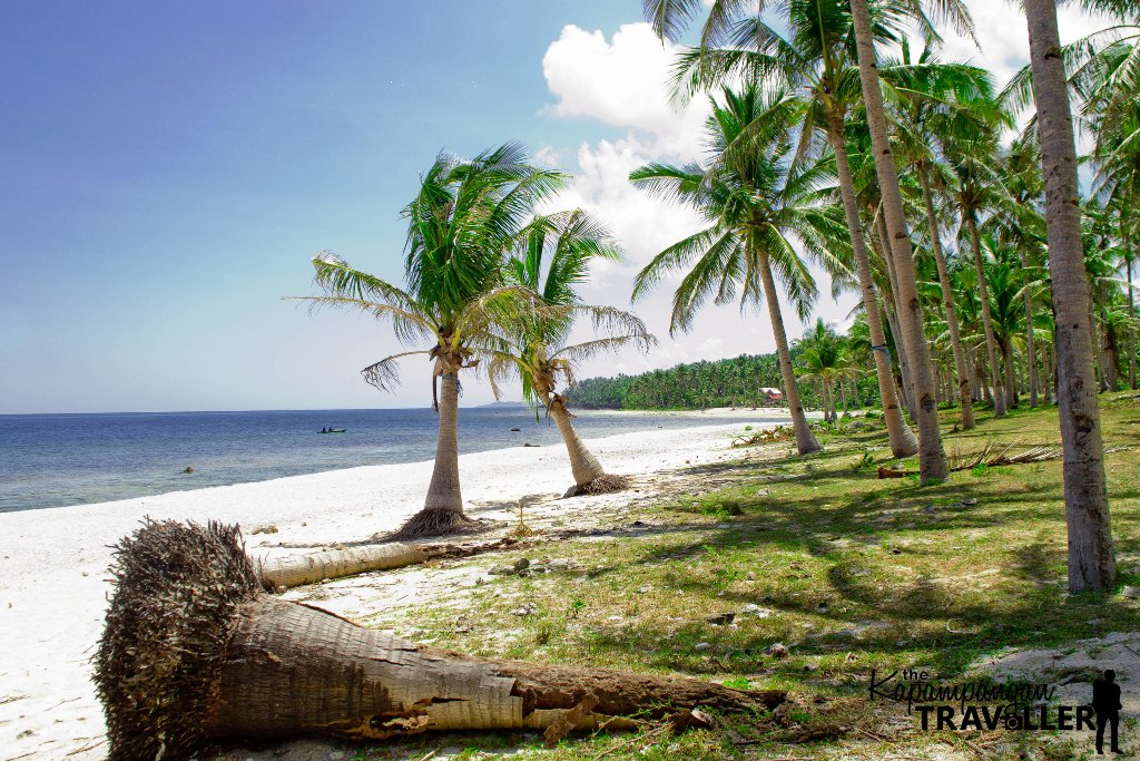 imaga beach