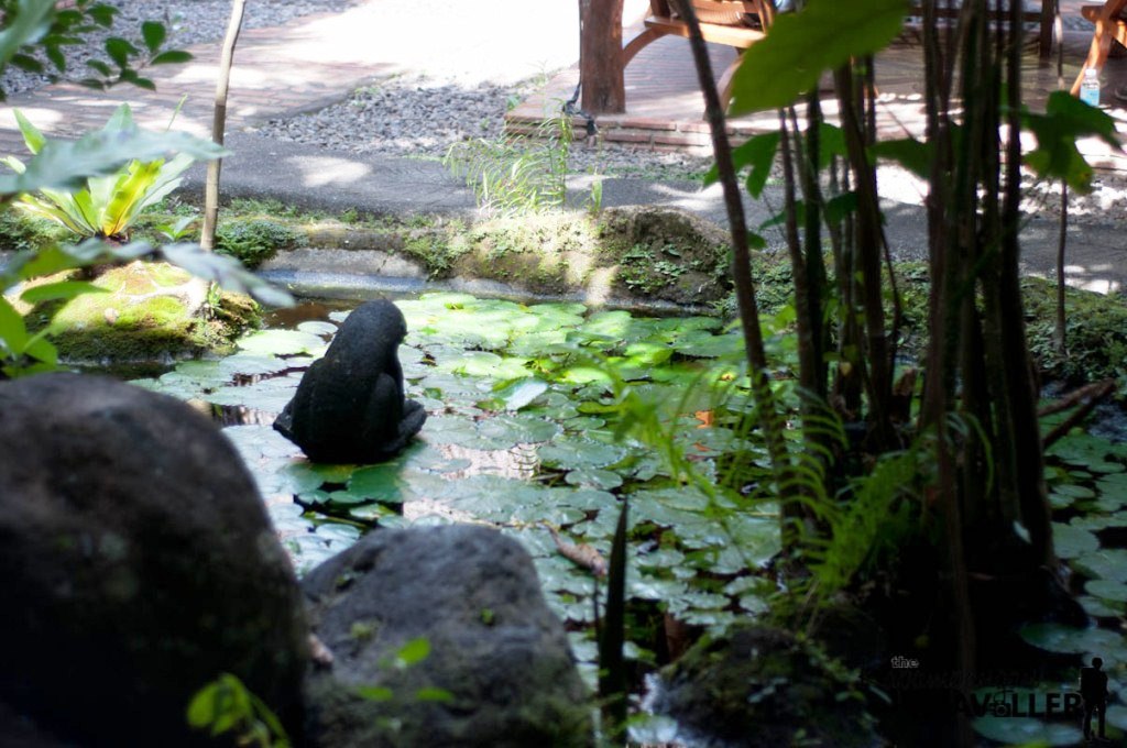 Ugu Bigyan Pottery Tiaong Quezon Garden.jpg