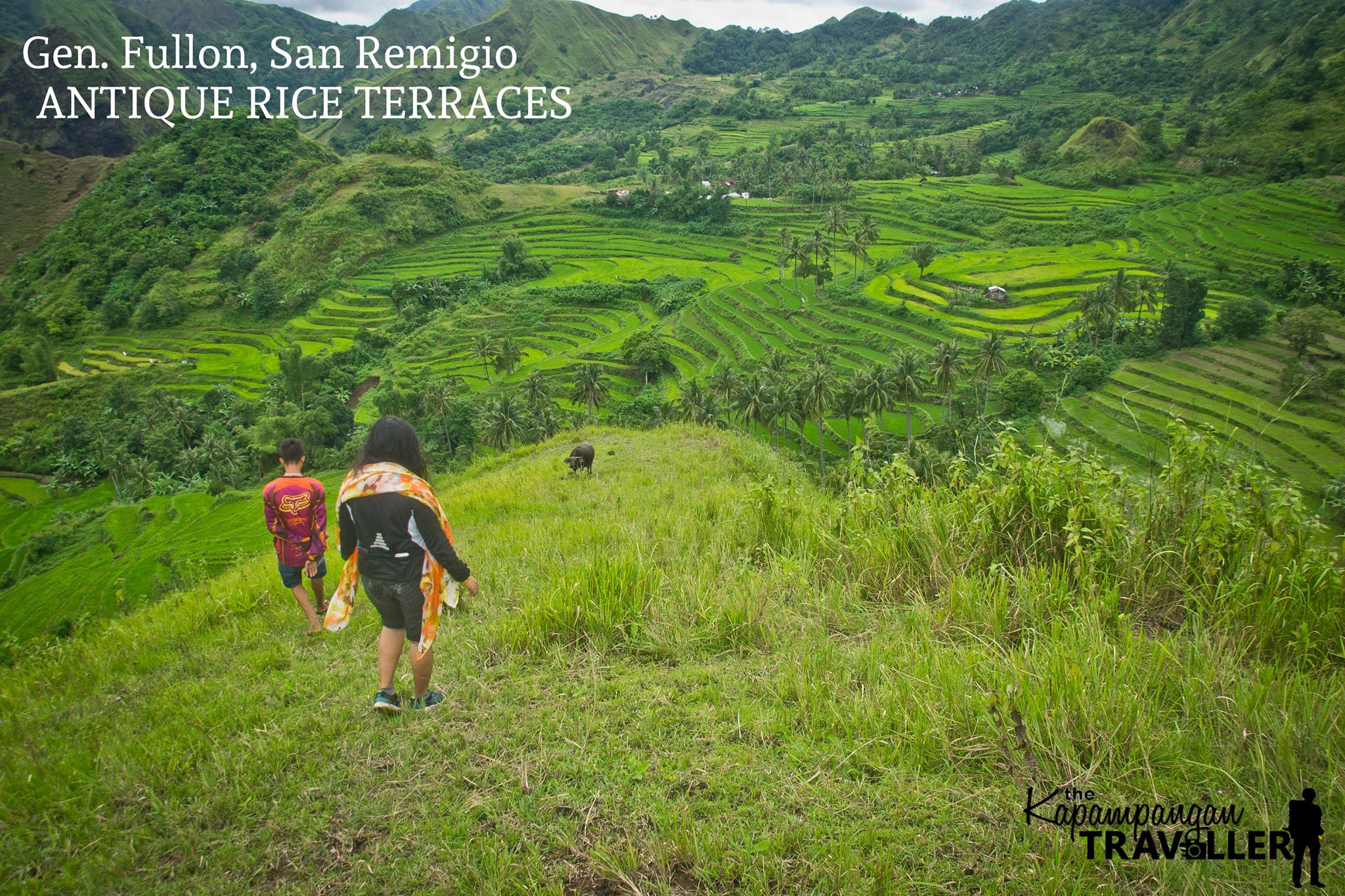 antique rice terraces san remigio.jpg