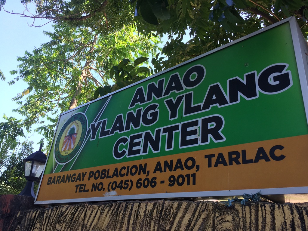 anao tarlac ylang ylang processing center (3).jpg