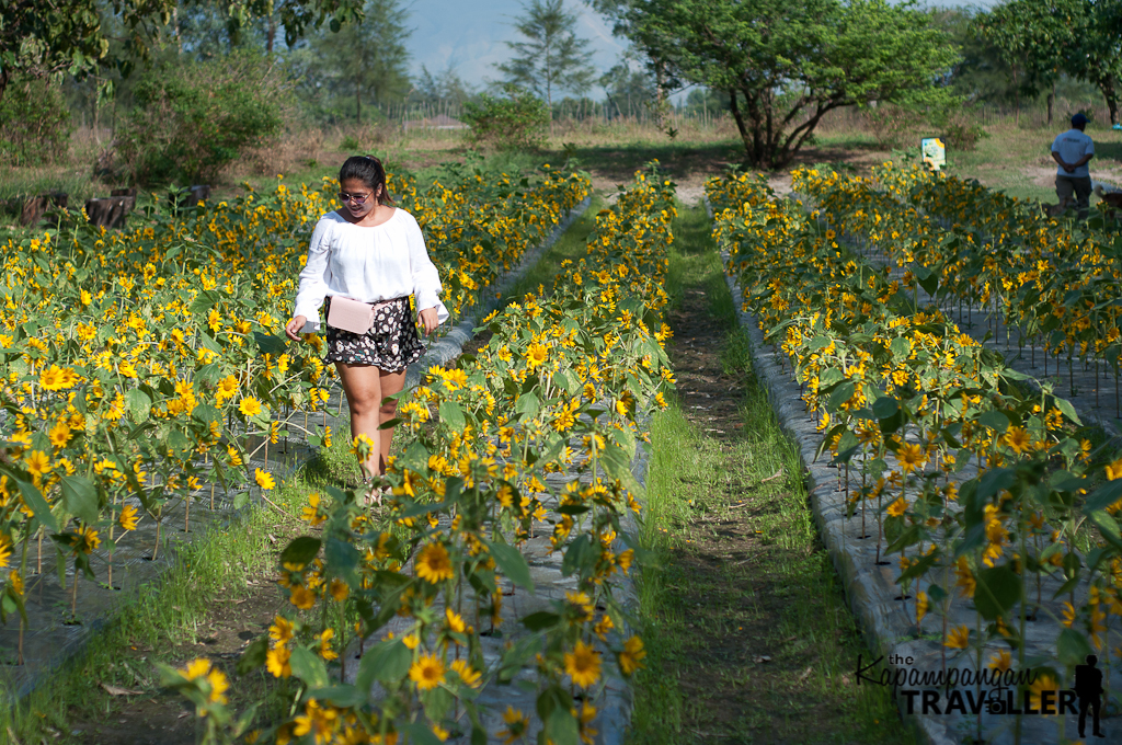 Julyans Farm Zambales Blog Itinerary (6).jpg