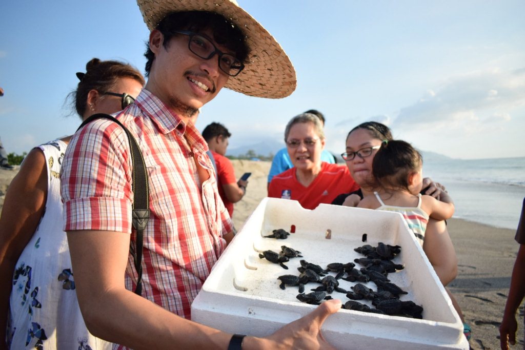 Pawikan Sea Turtle Hatchlings.jpg