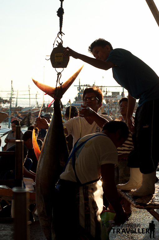 General Santos City Fish Port Sarangani Highlands (2).jpg