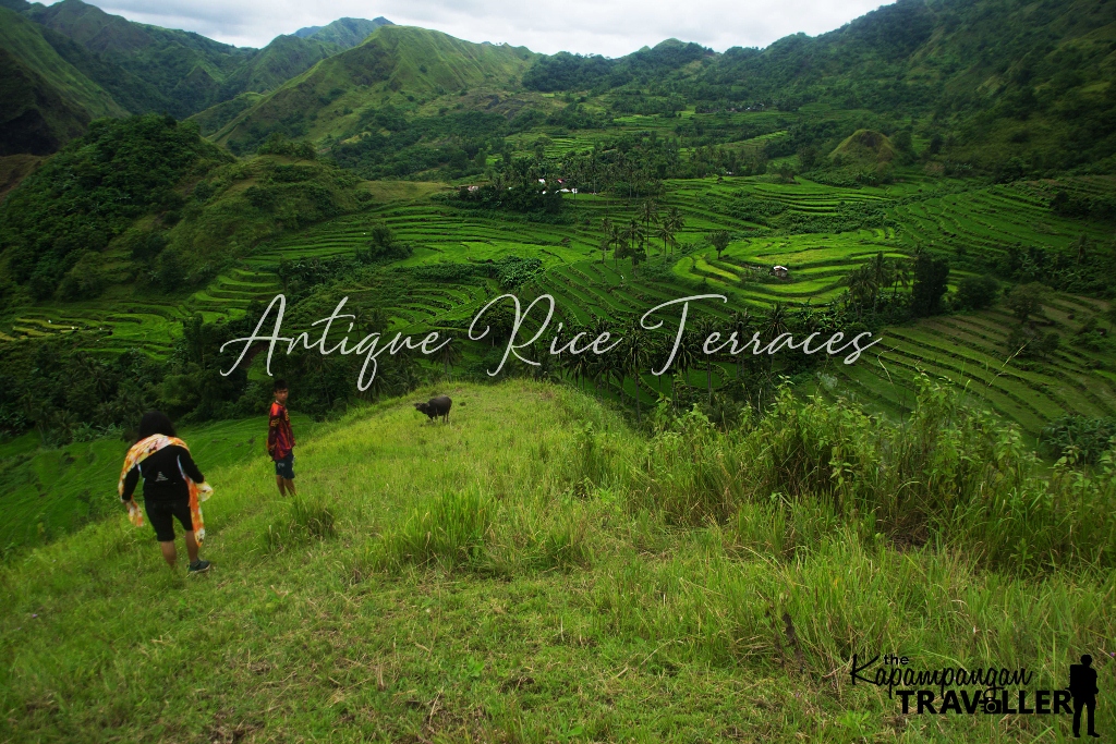 Destination Antique: The Hidden Rice Terraces of San Remigio – The ...