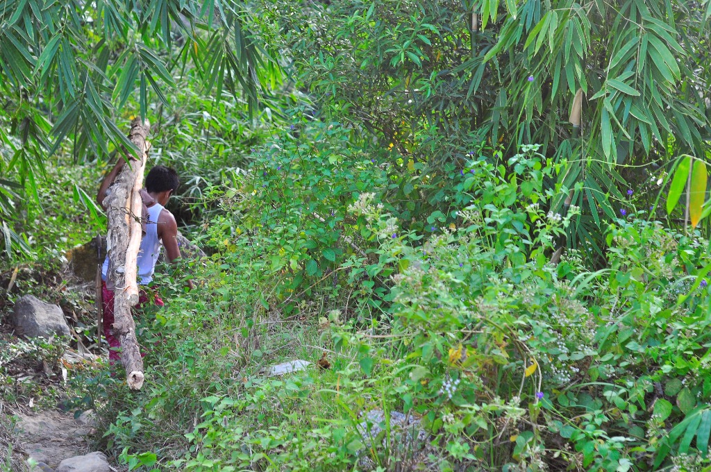 man heaving logs along the trail to antique rice terraces