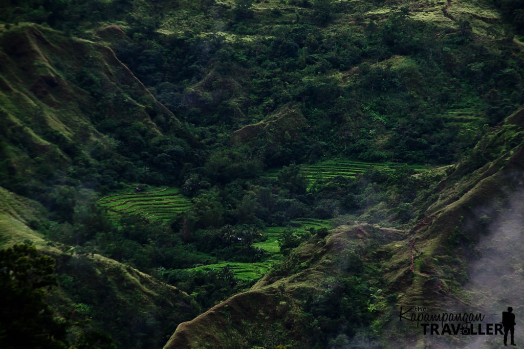 one of the rice terraces you can see from afar