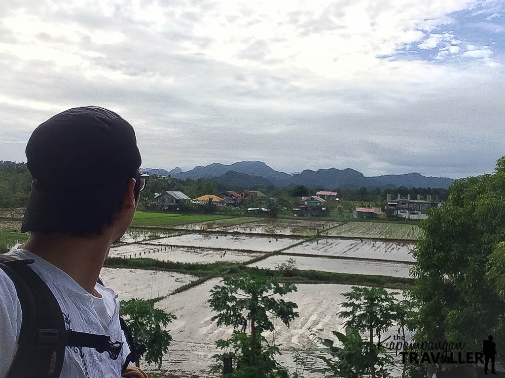 view of the fields at Borromeo Tourist Inn.JPG